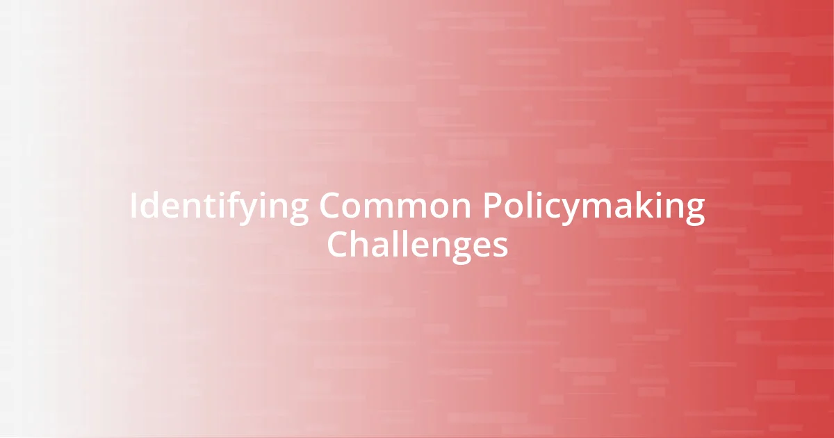 Identifying Common Policymaking Challenges