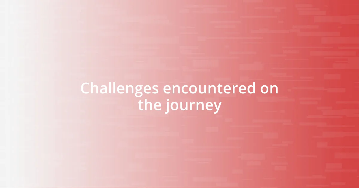 Challenges encountered on the journey