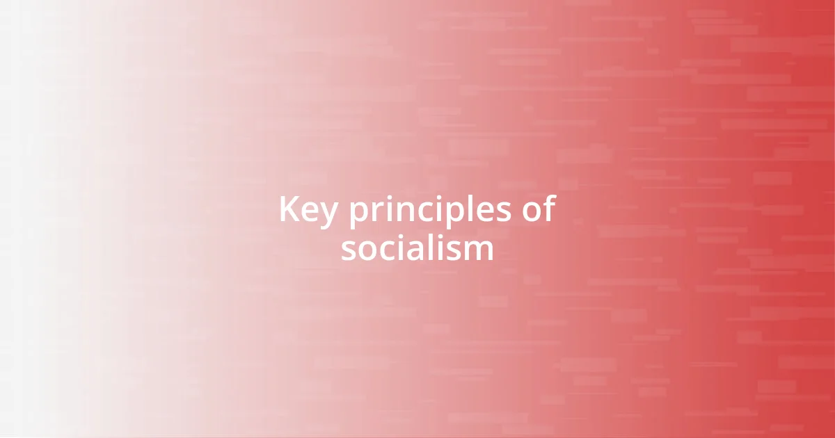 Key principles of socialism