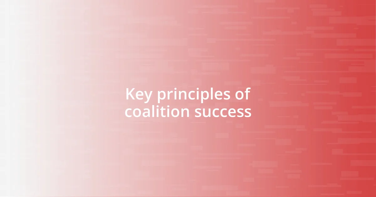 Key principles of coalition success